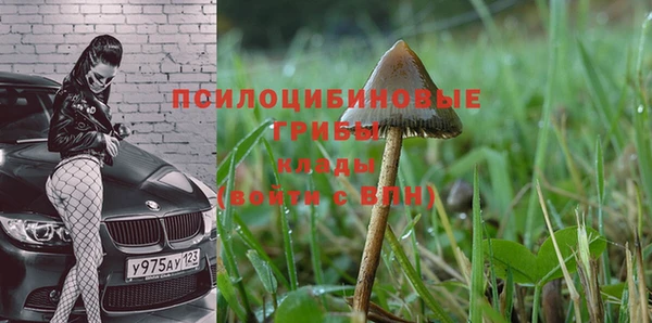 марки lsd Верея