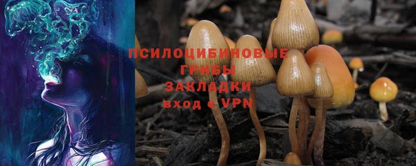 твердый Верхний Тагил